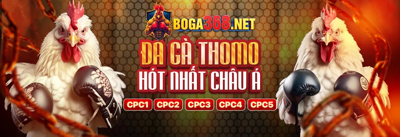 Hình ảnh minh họa sứ mệnh và tầm nhìn của 79king2 login